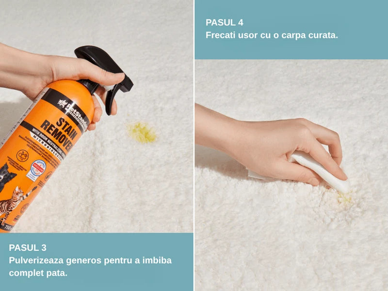 Solutie Profesionala Enzimatica pentru Eliminarea Petelor cu Neutralizare Mirosuri, Pet Standard, 750 ml
