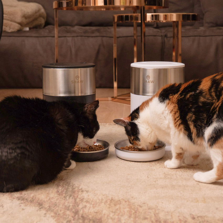 Hranitor automat Smart SHAW® PRO V3 mini pentru caini si pisici, Aplicatie mobila, Programare hrana, Negru