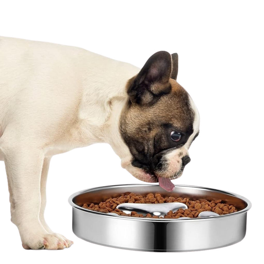 Bol pentru Hranire Lenta SHAW, Material Inox, previne mancatul rapid si balonarea