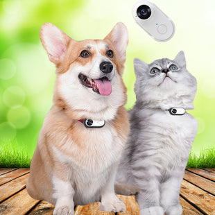 Camera Video pentru Animale SHAW – Inregistrare HD 1080P, Video Stabilizat, Sunet, Anti-Shake, Montare pe Zgarda sau Ham