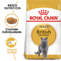 ROYAL CANIN British Shorthair Adult, hrană uscată pisici, 10kg
