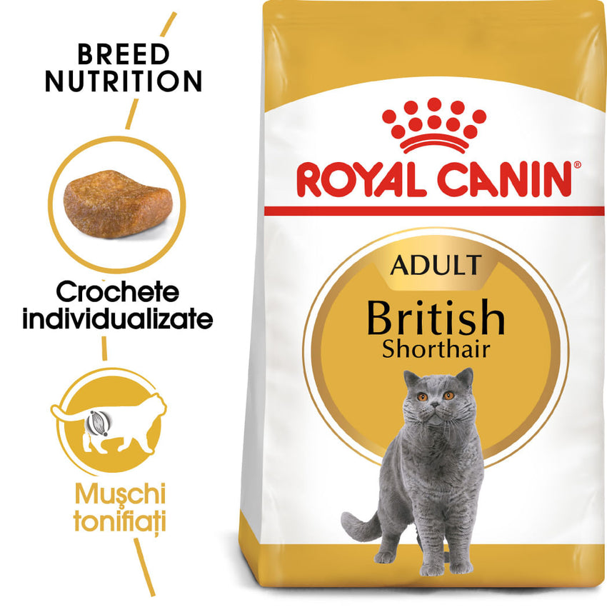 ROYAL CANIN British Shorthair Adult, hrană uscată pisici, 10kg