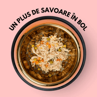 SET 12 - Topper premium pentru câini SHAW cu piept de pui, morcov, broccoli și mazăre în supă, hrană umedă complementară, 170 g