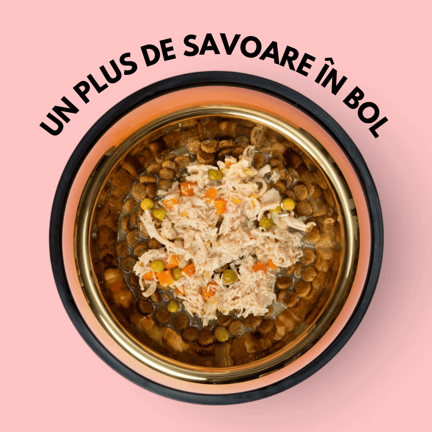 SET 12 - Topper premium pentru câini SHAW cu piept de pui, morcov, broccoli și mazăre în supă, hrană umedă complementară, 170 g