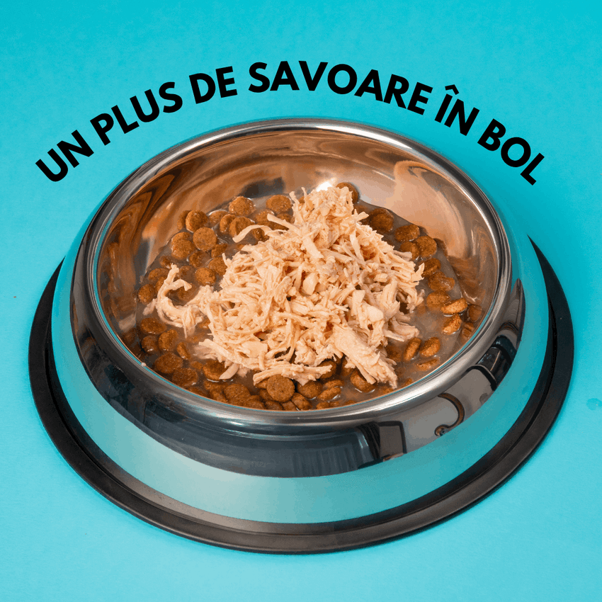 SET 12 - Hrană umedă premium pentru câini SHAW, Piept de Curcan Mărunțit în Supă, hrană completă, fără cereale, 200 g
