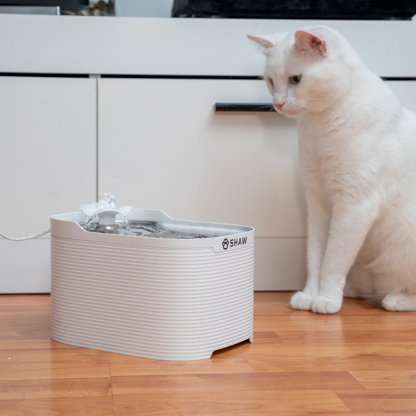 Fantana automata de apa SHAW Fresh pentru caini si pisici, tava din inox, capacitate 2.5L, pompa silentioasa, apa filtrata continuu