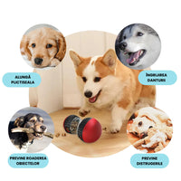 Jucarie Interactiva pentru Caini SHAW tip Dispenser de Hrana si Puzzle pentru Antrenament, Distractie si Combaterea Plictiselii