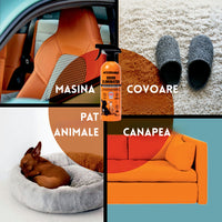 Solutie Profesionala Enzimatica pentru Eliminarea Mirosurilor, Curatare Urina Pisica si Caine, Fecale, Voma,  750 ml