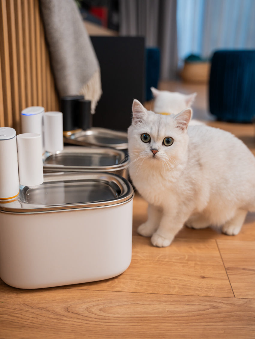 RESIGILAT - Fantana de apa smart SHAW® PRO V2 cu baterie, senzor inteligent, aplicatie mobila, filtru sterilizare UV, 4L, Inox