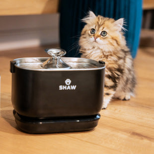 Fantana de apa SHAW® PRO V3 cu baterie si senzor inteligent, pompa wireless, sistem filtrare, silentioasa, Negru