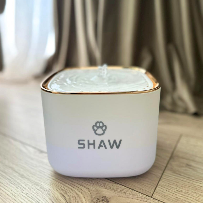 RESIGILAT- Fantana dispenser de apa SHAW® Capacitate 3L, pentru pisici si caini