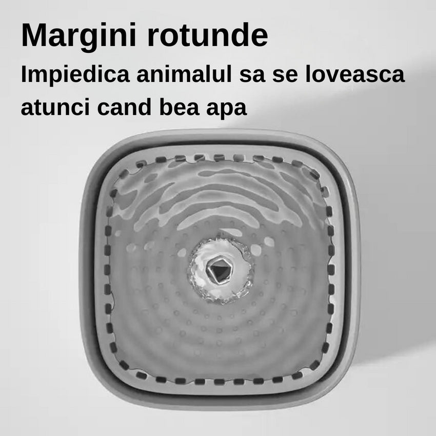 RESIGILAT- Fantana dispenser de apa SHAW® Capacitate 3L, pentru pisici si caini
