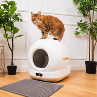 Litiera automata smart SHAW® Ultra pentru pisici, auto-curatare, sterilizare UV, odorizant, aplicatie mobila, bej