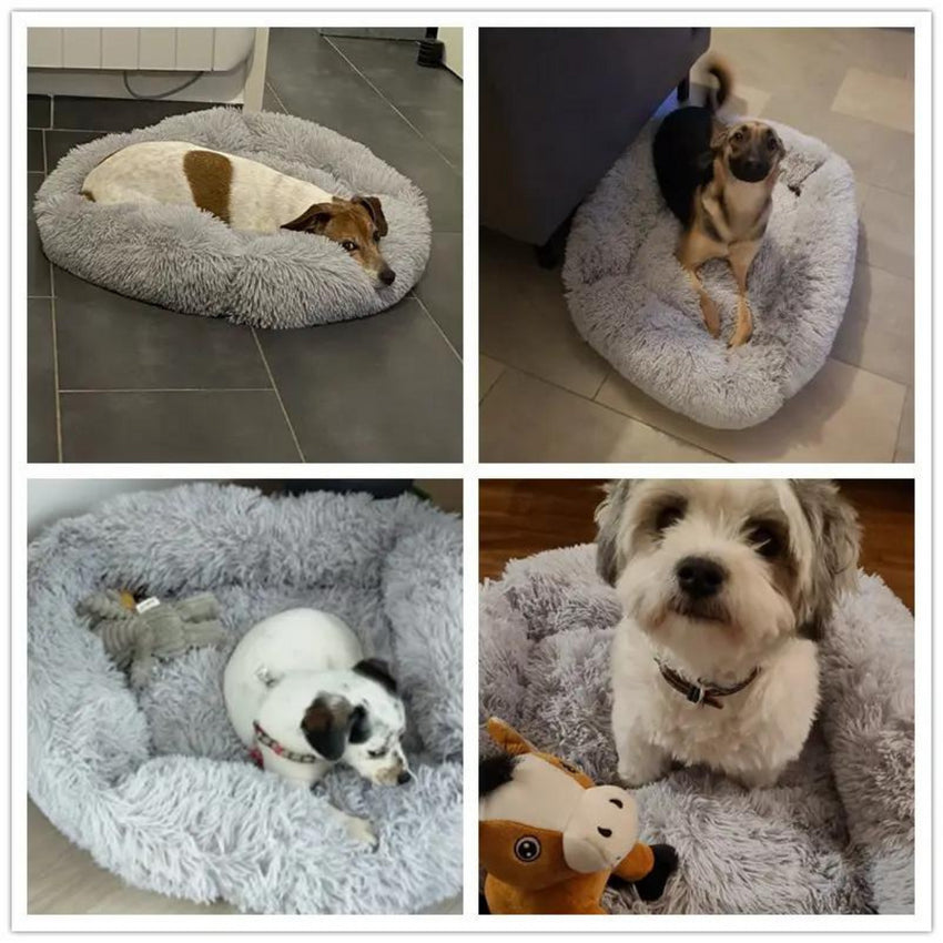 Pat pufos si moale pentru Caini, SHAW®, 95 x 75 cm, Gri deschis