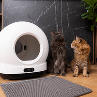 Litiera automata smart SHAW® Ultra pentru pisici, auto-curatare, sterilizare UV, odorizant, aplicatie mobila, negru