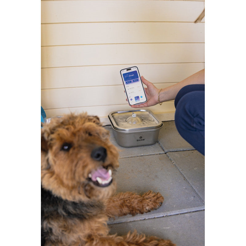 Fantana de apa smart SHAW® inox, aplicatie mobila, filtrare apa, 4L, argintiu