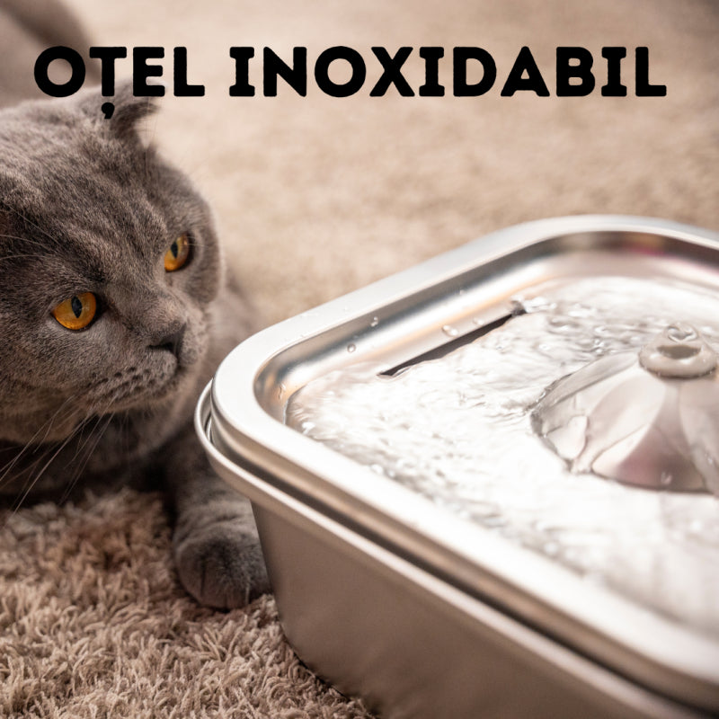 Fantana de apa smart SHAW® inox, aplicatie mobila, filtrare apa, 4L, argintiu