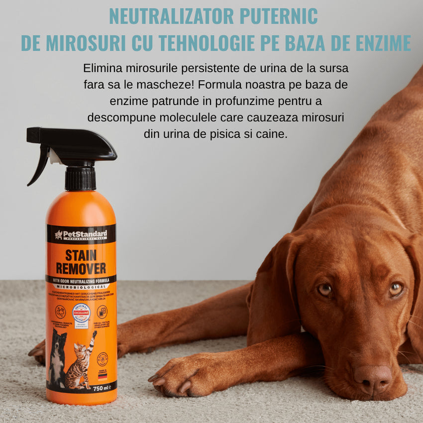 Solutie Profesionala Enzimatica pentru Eliminarea Petelor cu Neutralizare Mirosuri, Pet Standard, 750 ml