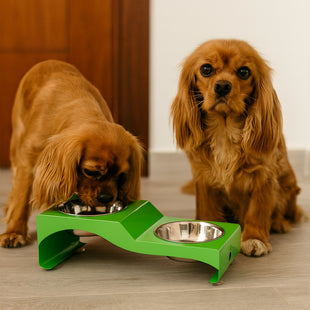 Boluri duble din inox pentru caini – ergonomice, stabile si igienice