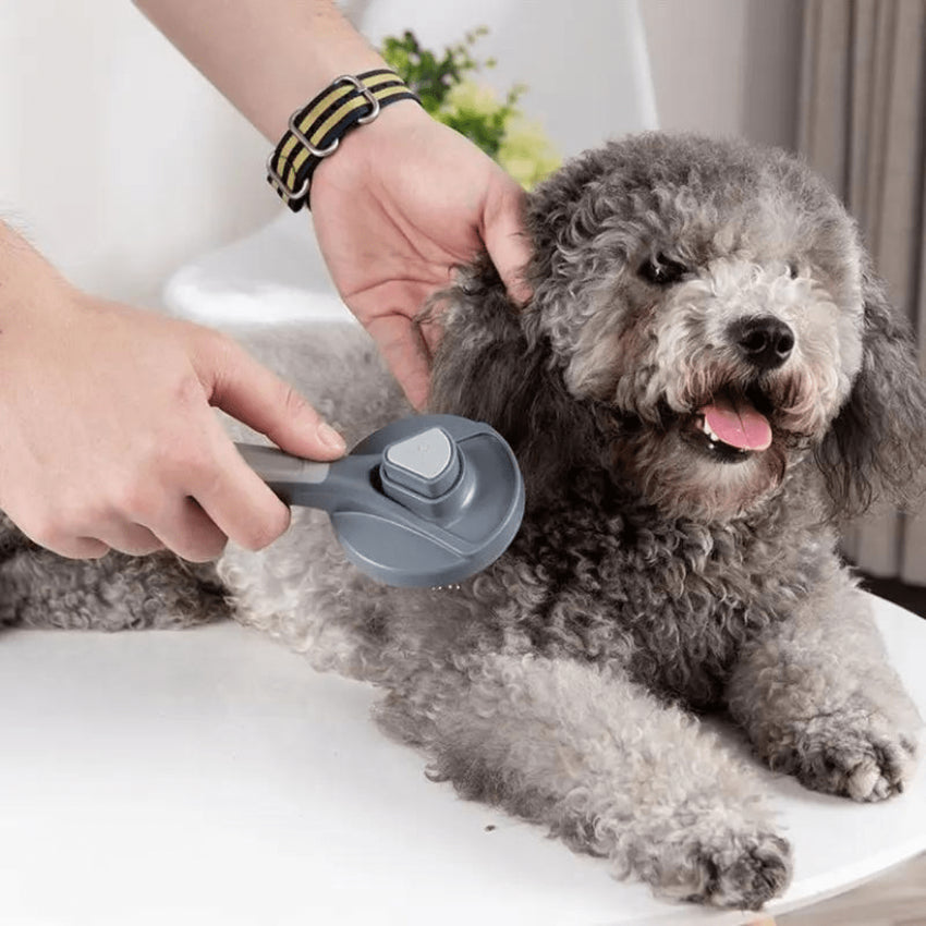 Perie SHAW® pentru curatarea si ingrijirea parului de caini si pisici cu buton auto-curatare, Gri