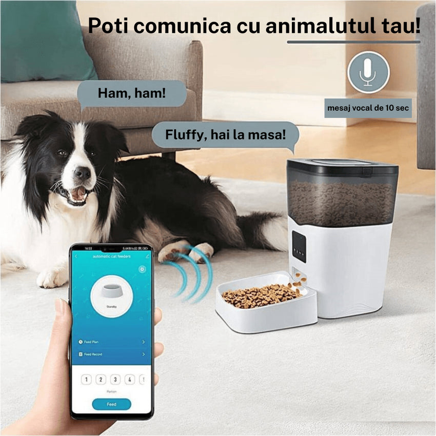 RESIGILAT - Hranitor automat SHAW® pentru caini si pisici, aplicatie mobila, 3L, programare hranire, WiFi