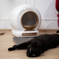 RESIGILAT - Litiera automata smart SHAW® V4 pentru pisici, auto-curatare, eliminare mirosuri prin ionizare, aplicatie mobila, 9L