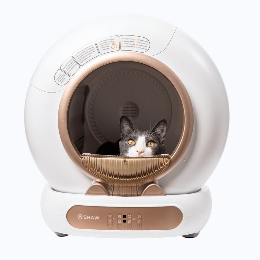 RESIGILAT - Litiera automata smart SHAW® V4 pentru pisici, auto-curatare, eliminare mirosuri prin ionizare, aplicatie mobila, 9L