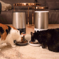 RESIGILAT - Hranitor automat Smart SHAW® PRO V3 pentru caini si pisici, Aplicatie mobila, Camera video, Programare hra