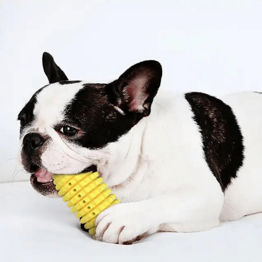 Jucarie de ros pentru caini, SHAW®, tip porumb, imbunatatirea dentitiei, rezistenta, galben