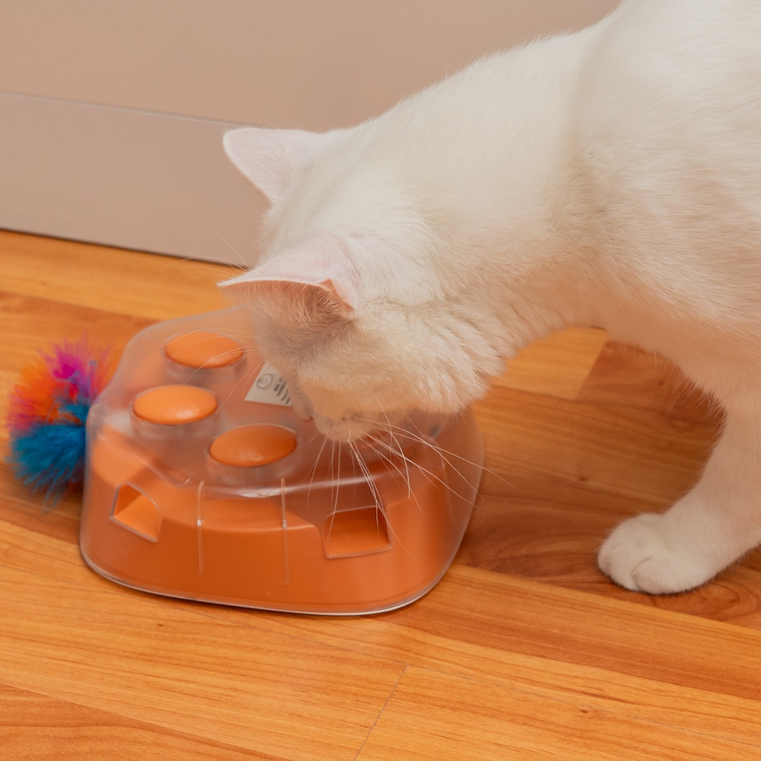 Jucarie pentru pisici interactiva cu pana miscatoare SHAW, forma labuta, incarcare USB