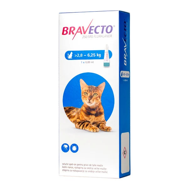 Antiparazitar spot-on pentru pisici 2,8-6,25 kg Bravecto 250mg, 1 pipeta, MSD