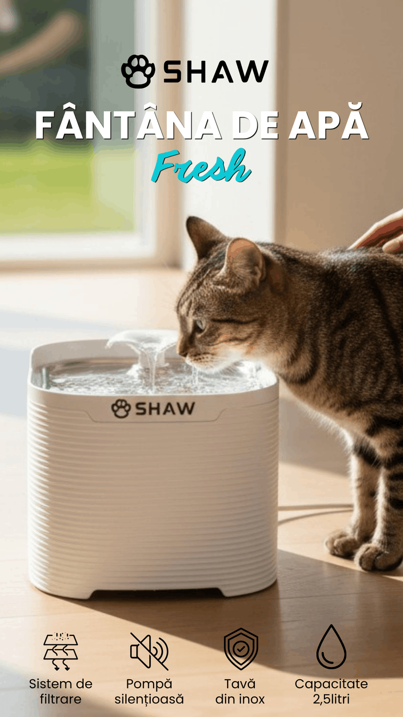 Fantana automata de apa SHAW Fresh pentru caini si pisici, tava din inox, capacitate 2.5L, pompa silentioasa, apa filtrata continuu