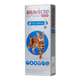 Antiparazitar spot-on pentru pisici 2,8-6,25 kg Bravecto Plus 250mg, 1 pipeta, MSD