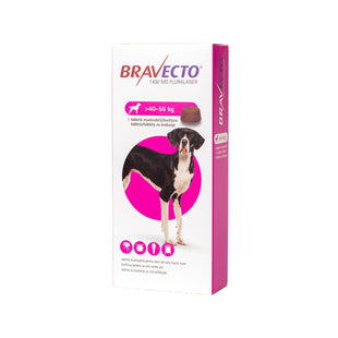 Antiparazitar comprimat pentru caini 40-56 kg Bravecto 1400mg, 1 tableta, MSD