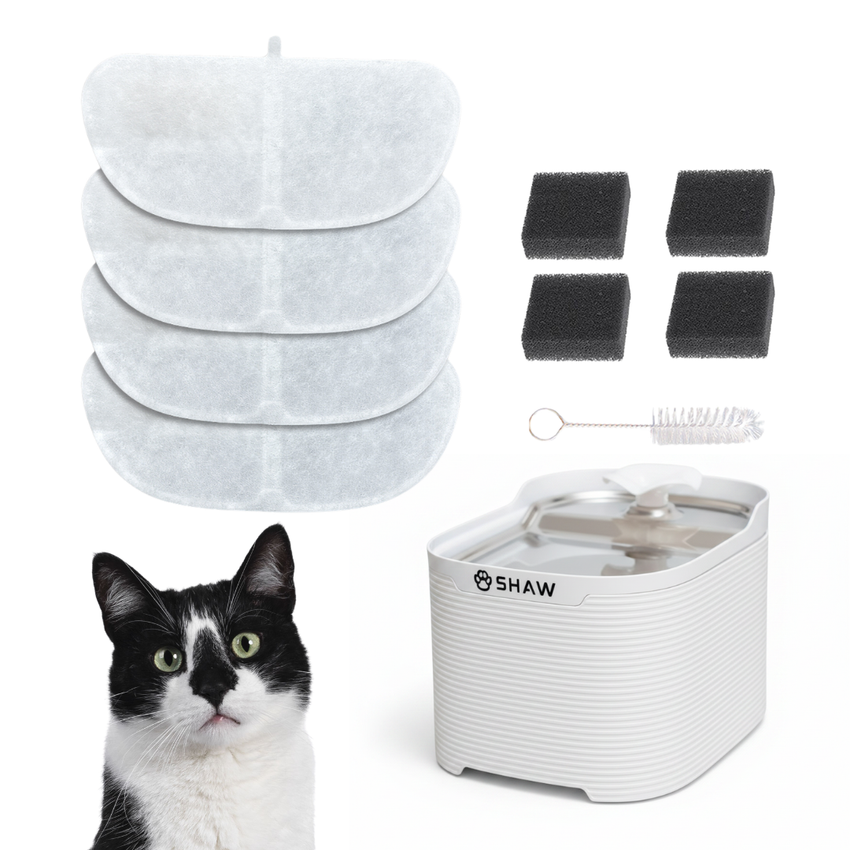 Set 4 Filtre de Schimb pentru Fantana Clasica SHAW