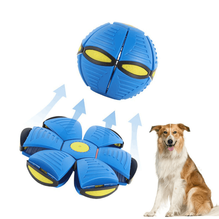 Jucarie interactiva pentru caini SHAW tip Minge Frisbee Deformabila, pentru Aruncat si Aport