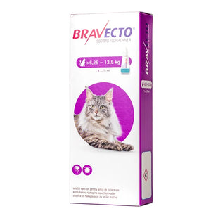 Antiparazitar spot-on pentru pisici 6,25-12,5 kg Bravecto Plus 500mg, 1 pipeta, MSD