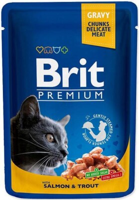 Hrana umedă complementară pentru pisici - BRIT Premium Cat Plic Somon & Păstrăv 100g