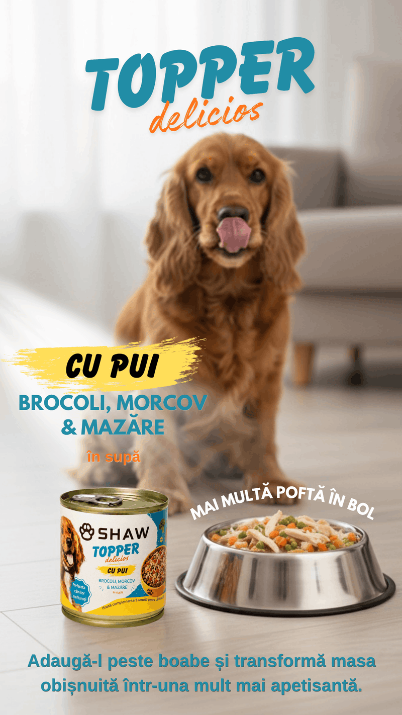Topper premium pentru câini SHAW cu piept de pui, morcov, broccoli și mazăre în supă, hrană umedă complementară, 170 g