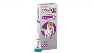 Antiparazitar spot-on pentru pisici 6,25-12,5 kg Bravecto Plus 500mg, 1 pipeta, MSD