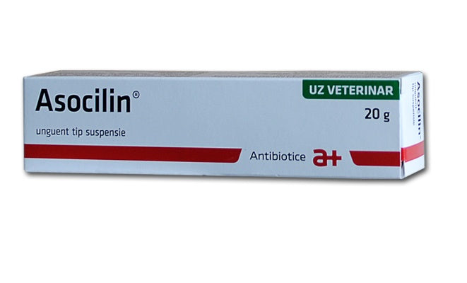 Unguent antibiotic pentru afectiuni ale pielii si ochilor Asocilin, 20g, Antibiotice