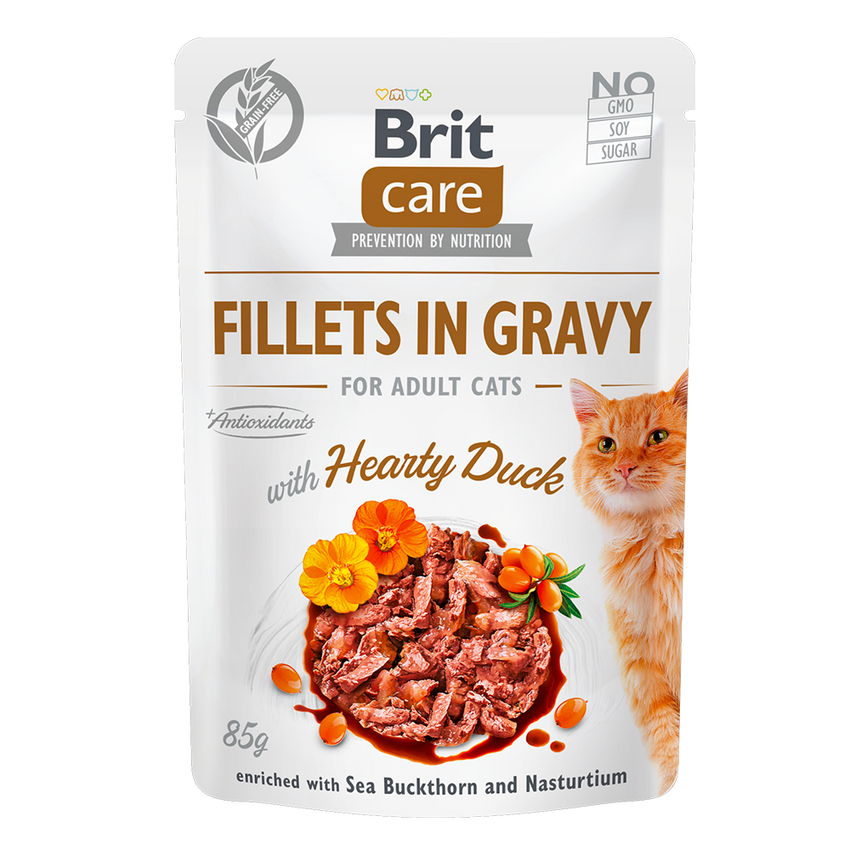 Hrana umeda pisici Brit Care Fillets in Gravy cu rata 85g