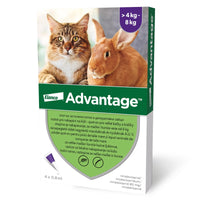 Antiparazitar spot-on pentru pisici si iepuri Advantage 80, 1 pipeta, Elanco
