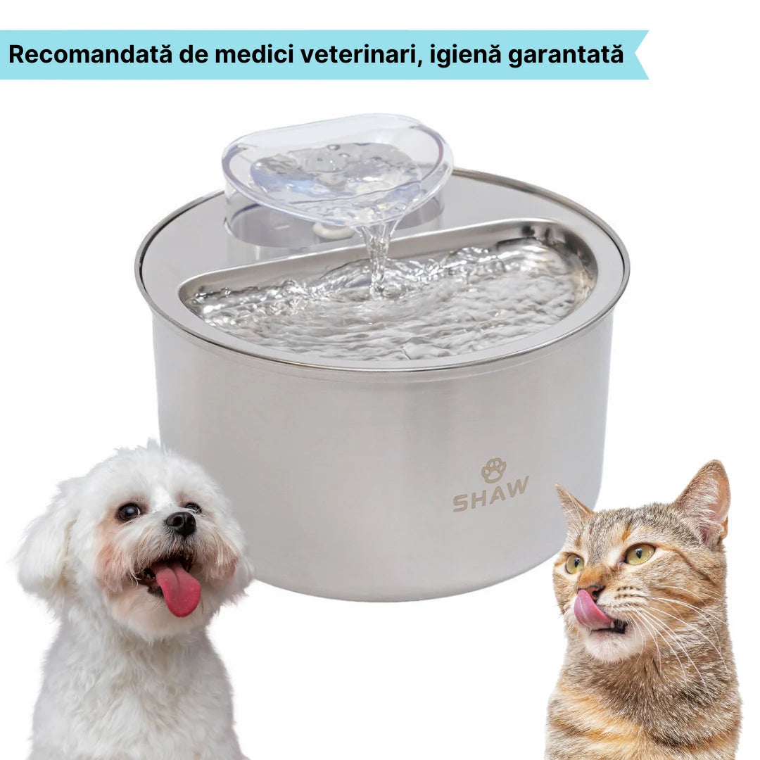 Fantana de apa SHAW® inox, filtrare apa, 4L, argintiu