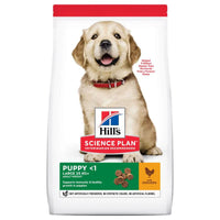 Hrana uscata HILL'S SCIENCE PLAN Canine Puppy Large Breed, Pui 2,5 Kg