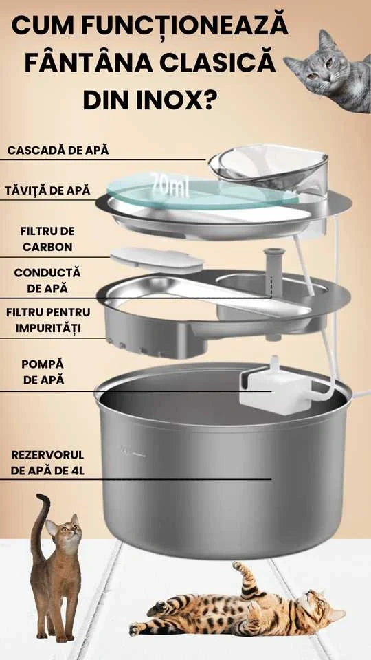Fantana de apa SHAW® inox, filtrare apa, 4L, argintiu