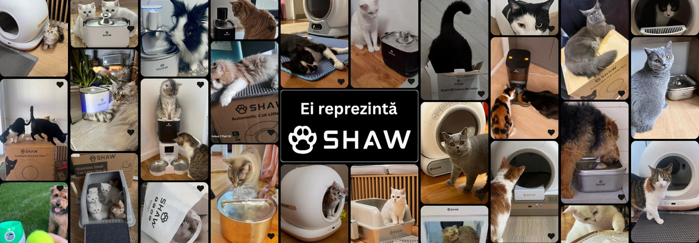 2-shaw-pet-shop-dsk