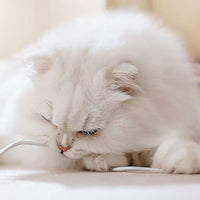 Purificator de Aer SHAW pentru Par de Animale si Alergeni, HEPA, UV, Placa Termica pentru Pisici, 500 m³/h