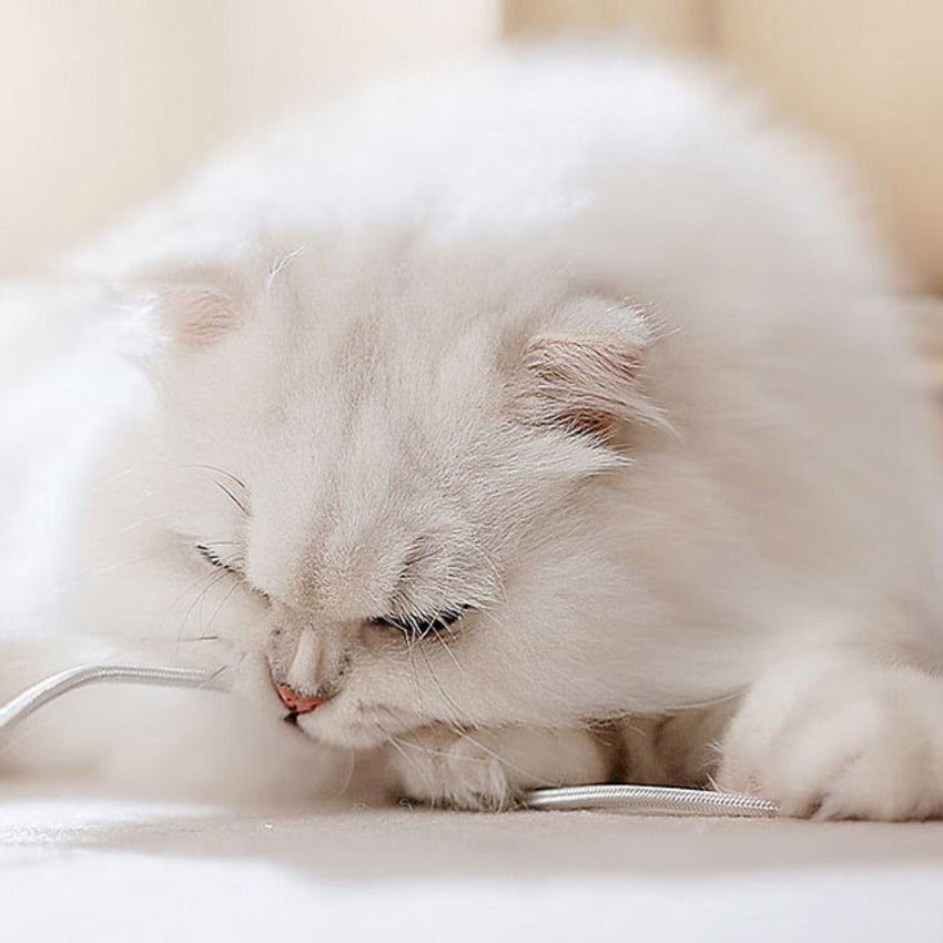 Purificator de Aer SHAW pentru Par de Animale si Alergeni, HEPA, UV, Placa Termica pentru Pisici, 500 m³/h