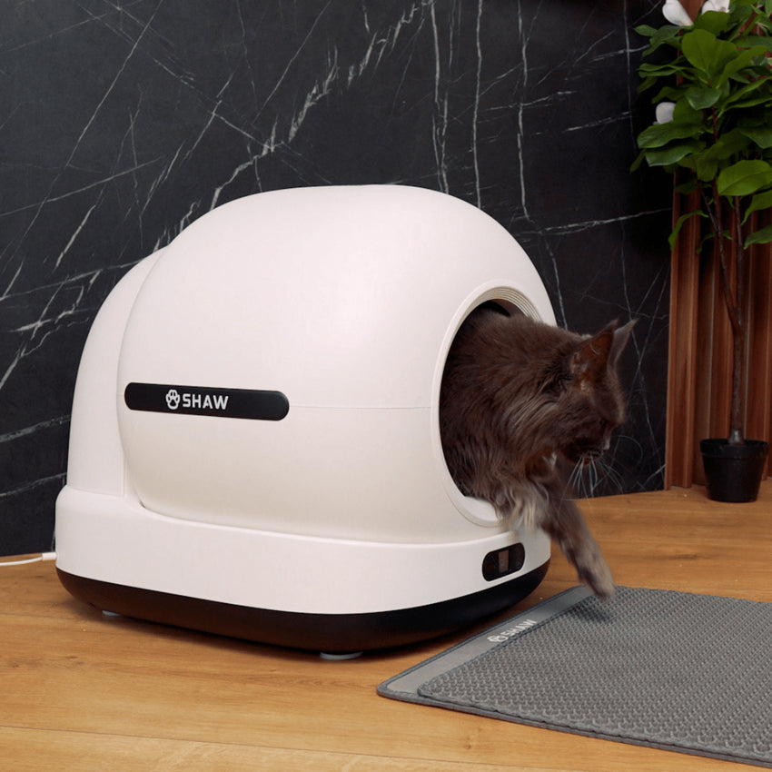 RESIGILAT - Litiera automata smart SHAW® Ultra pentru pisici, auto-curatare, sterilizare UV, odorizant, aplicatie mobila, negru